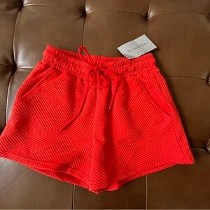 See and Be Seen Red Women's Shorts